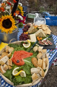 Make a reservation with NW floatplane picnics