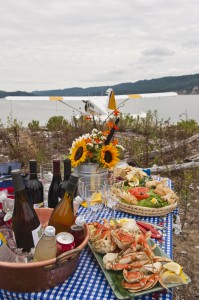 NW floatplane picnics