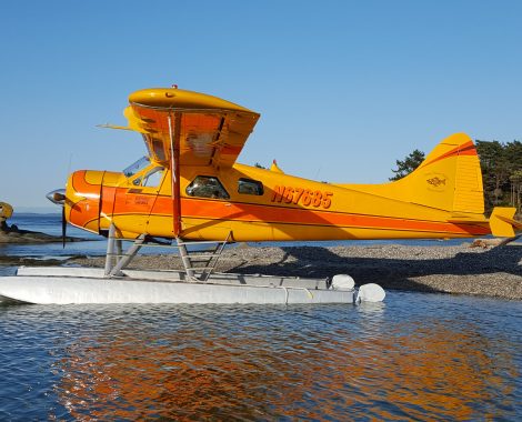 Beaver - Holds 5 Guests