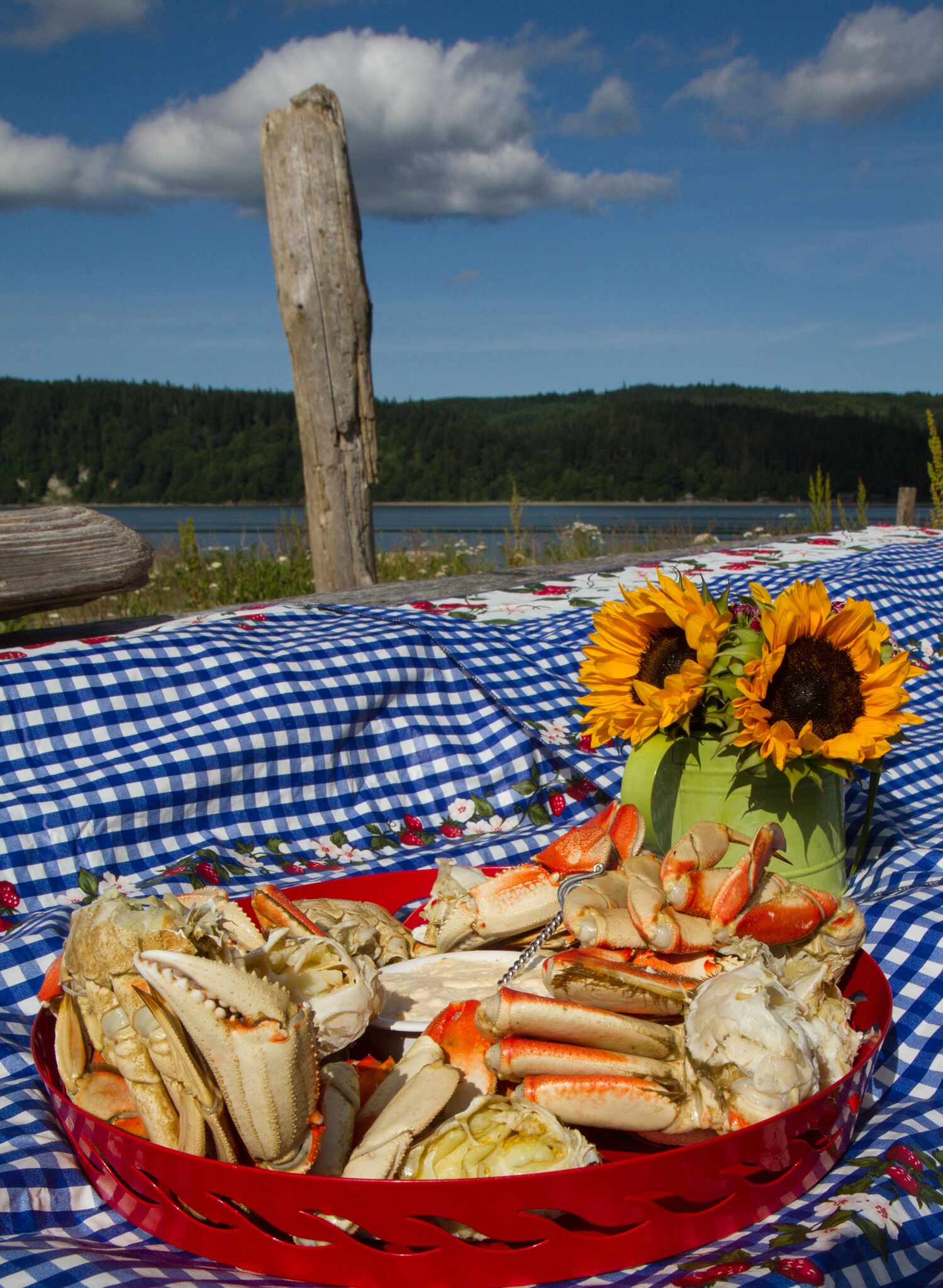 crab app at Dabob Bay